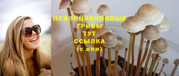 крисы Алексеевка