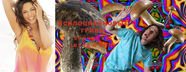крисы Алексеевка